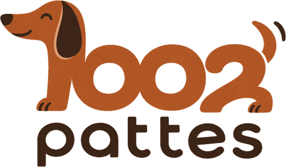 1002 Pattes